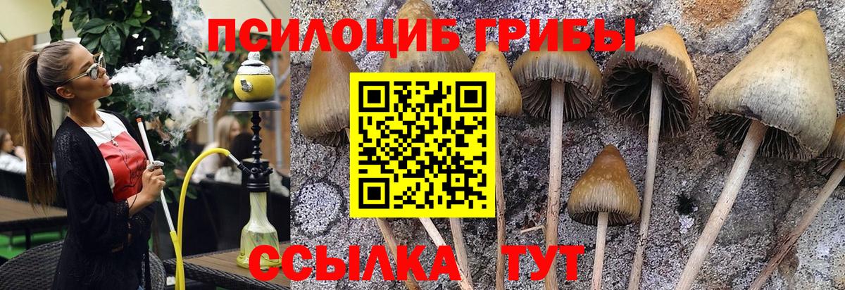 Красный Сулин  наркотики  Вход с VPN  Галлюциногенные грибы прущие грибы 